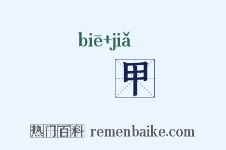 鼈甲是什么意思的图片